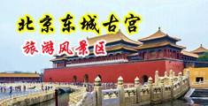 骚货水真多舒不舒服视频中国北京-东城古宫旅游风景区